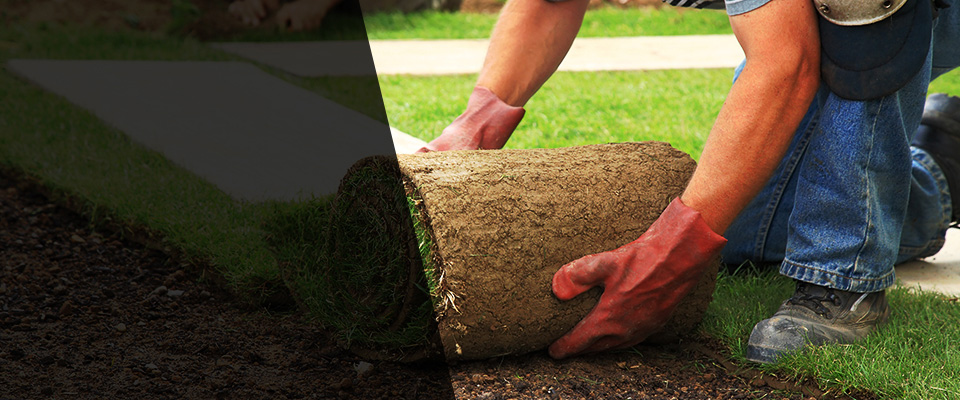 Newport News Landscapers